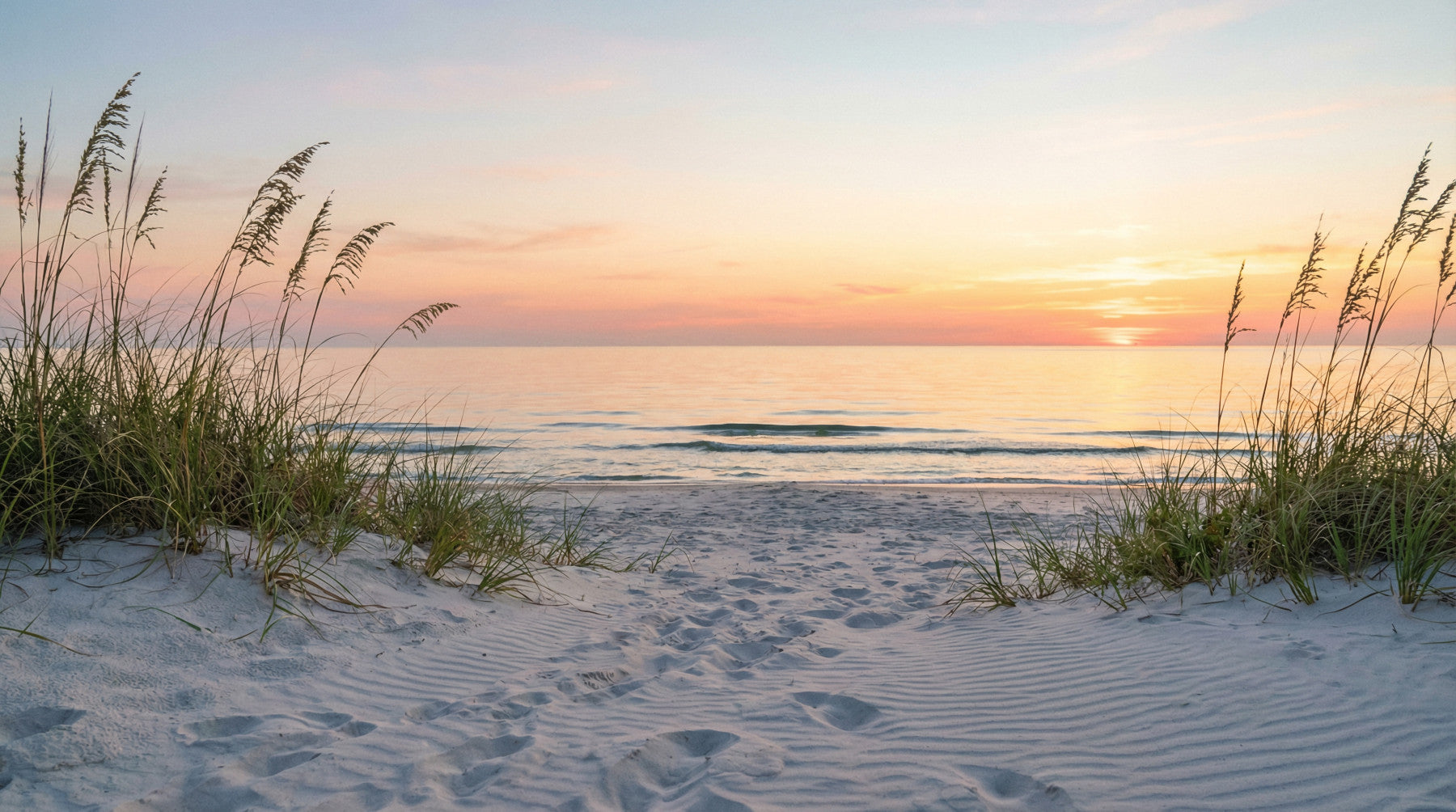 Sunrise Shores Wall Mural