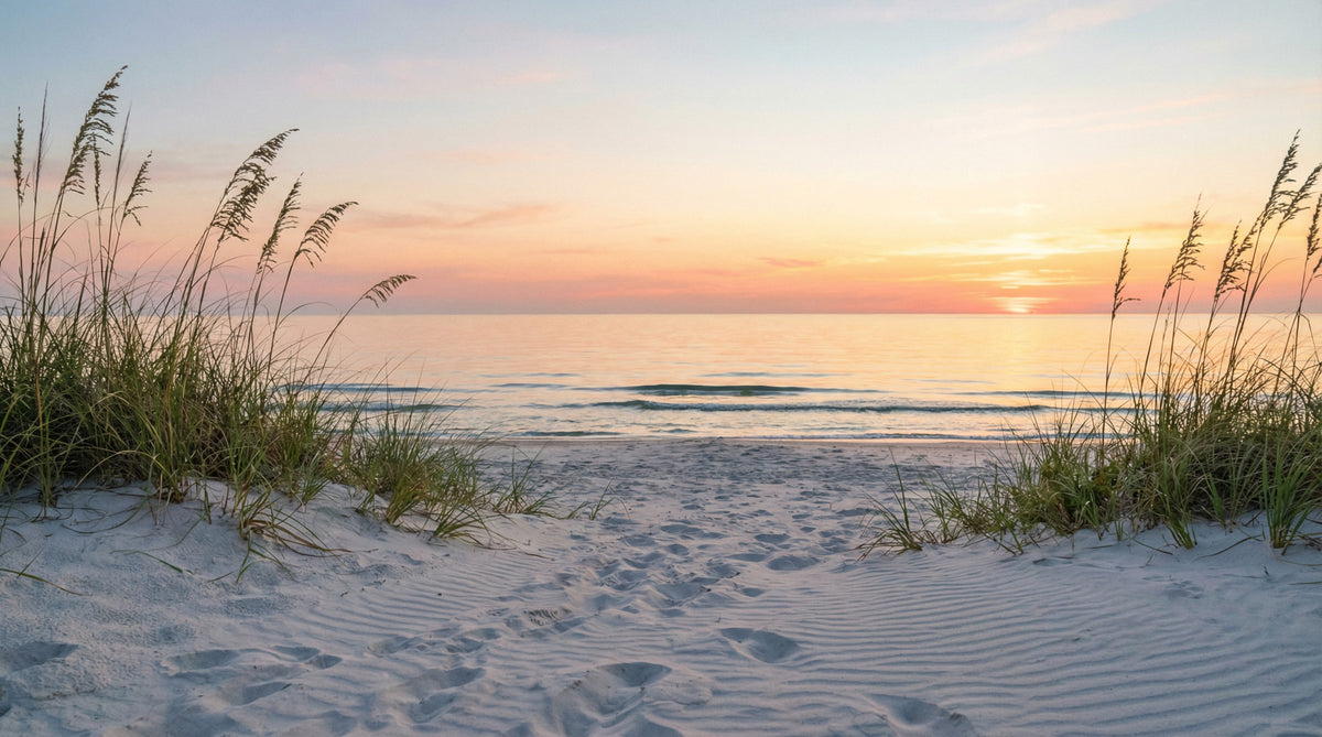 Sunrise Shores Wall Mural in your room — zoomed