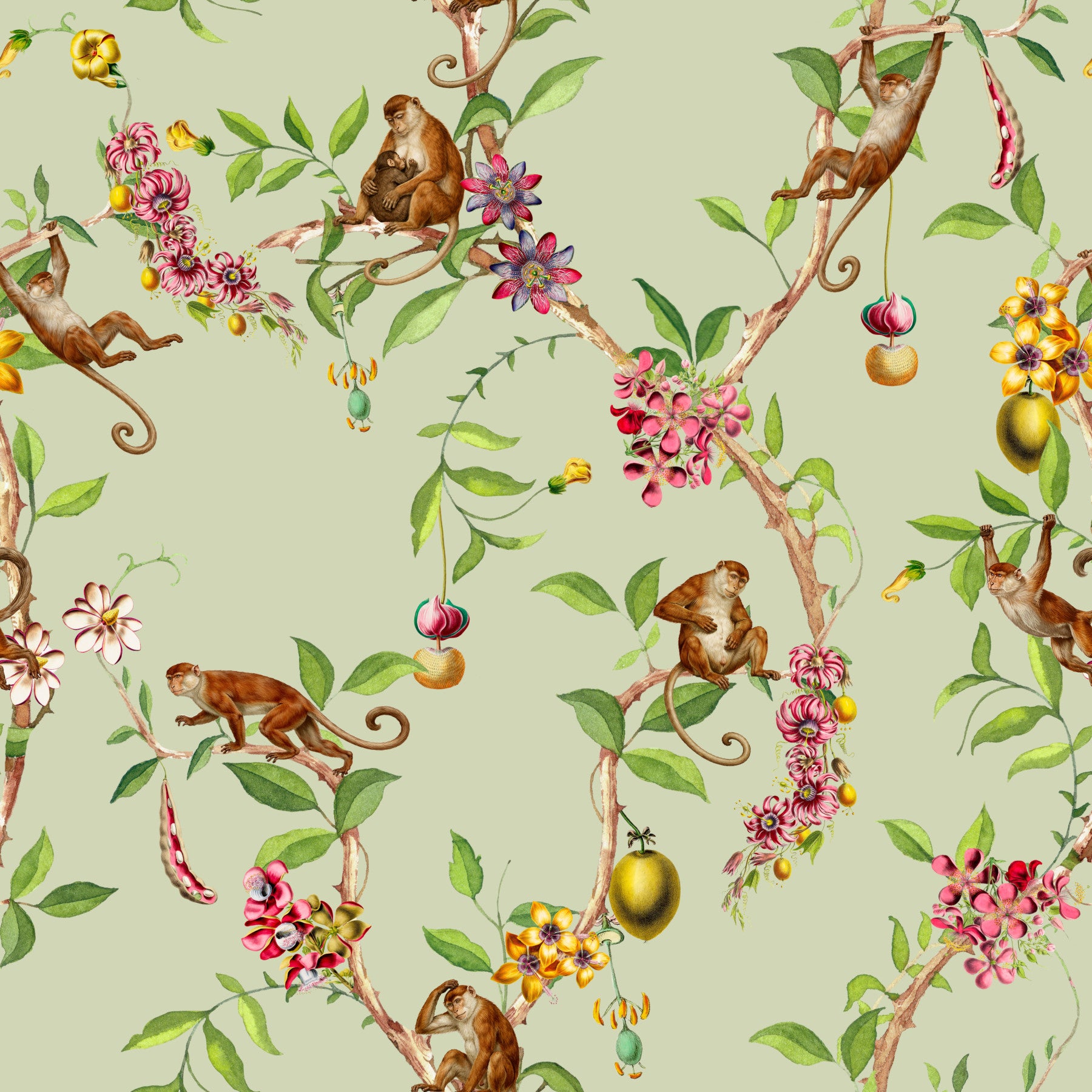 Whimsical Playing Monkeys Family Vintage Exotic Garden green Wallpaper⁠
