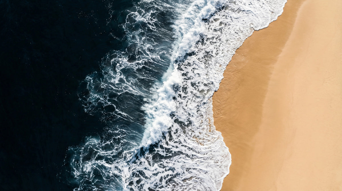 Shoreline Wall Mural in your room — zoomed