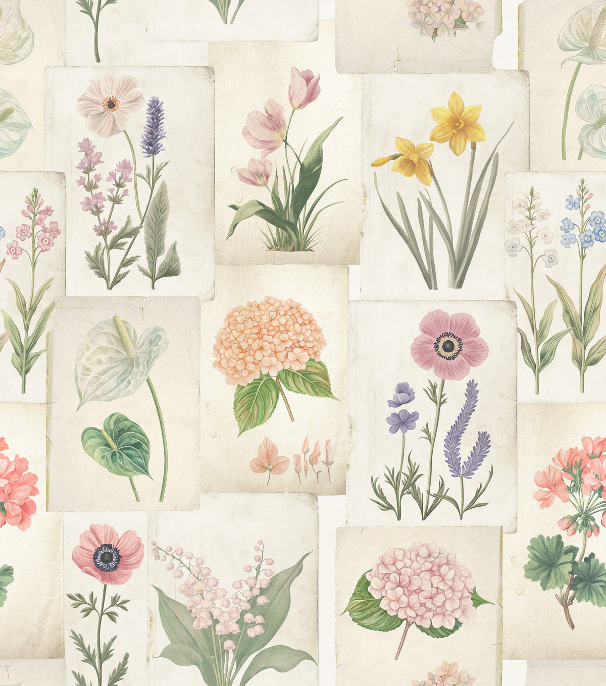 Pastel Floral Botanical Collage Wallpaper⁠