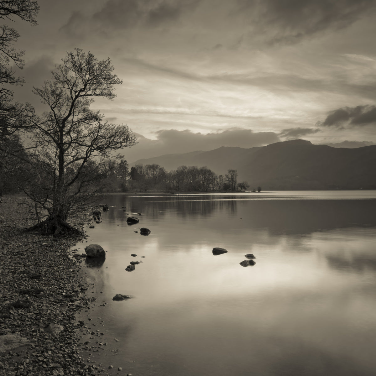 Still Lake at Dusk Wall Mural
