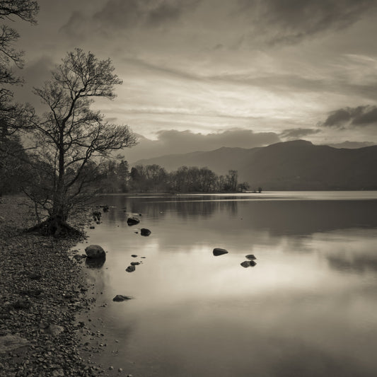 Still Lake at Dusk Wall Mural