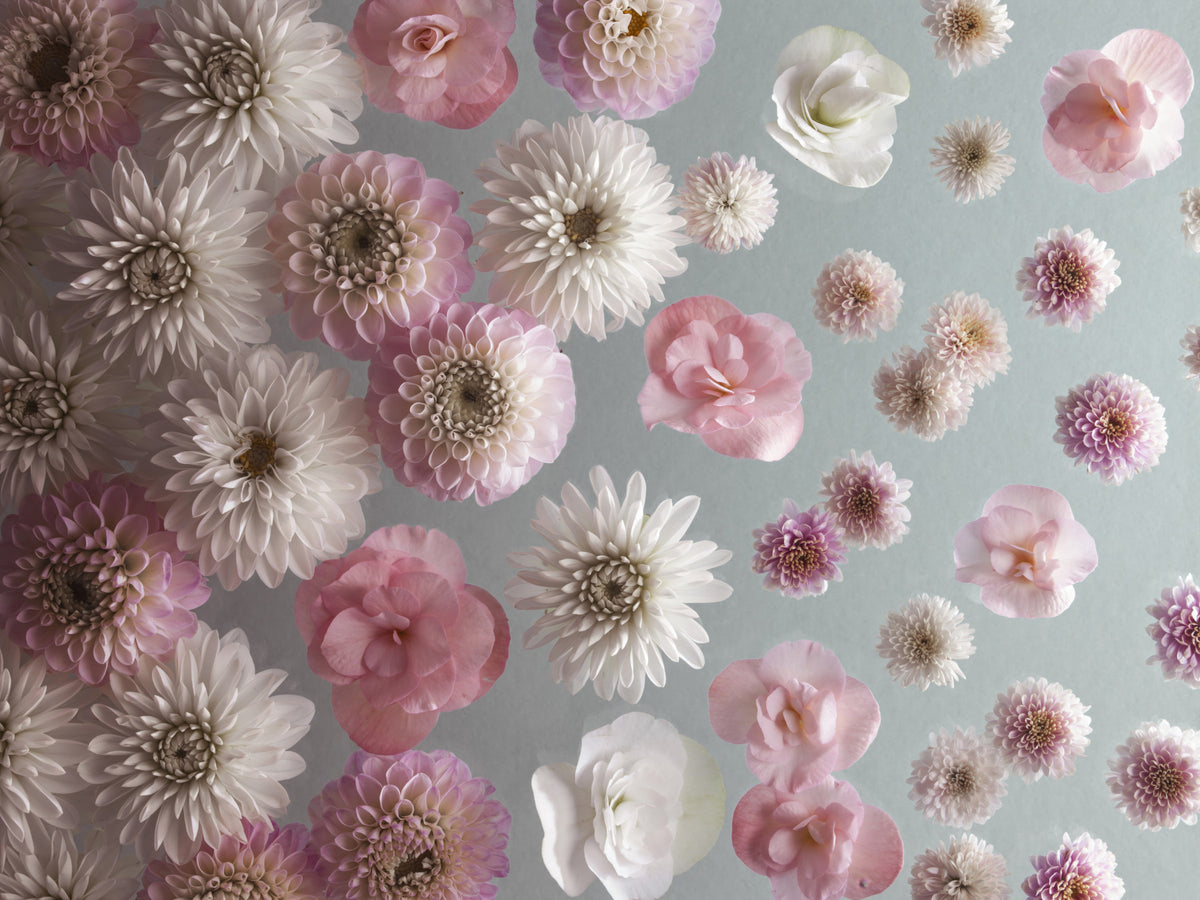 Bloom Bliss Wall Mural in your room — zoomed