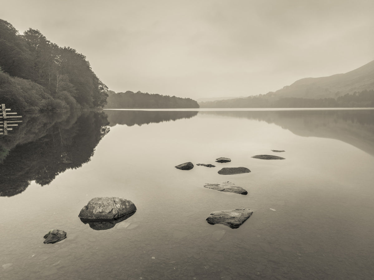 Lake Calmness Wall Mural