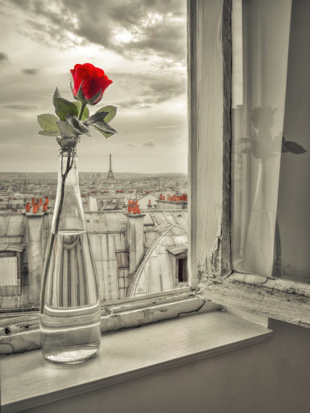 Parisian Bloom Wall Mural
