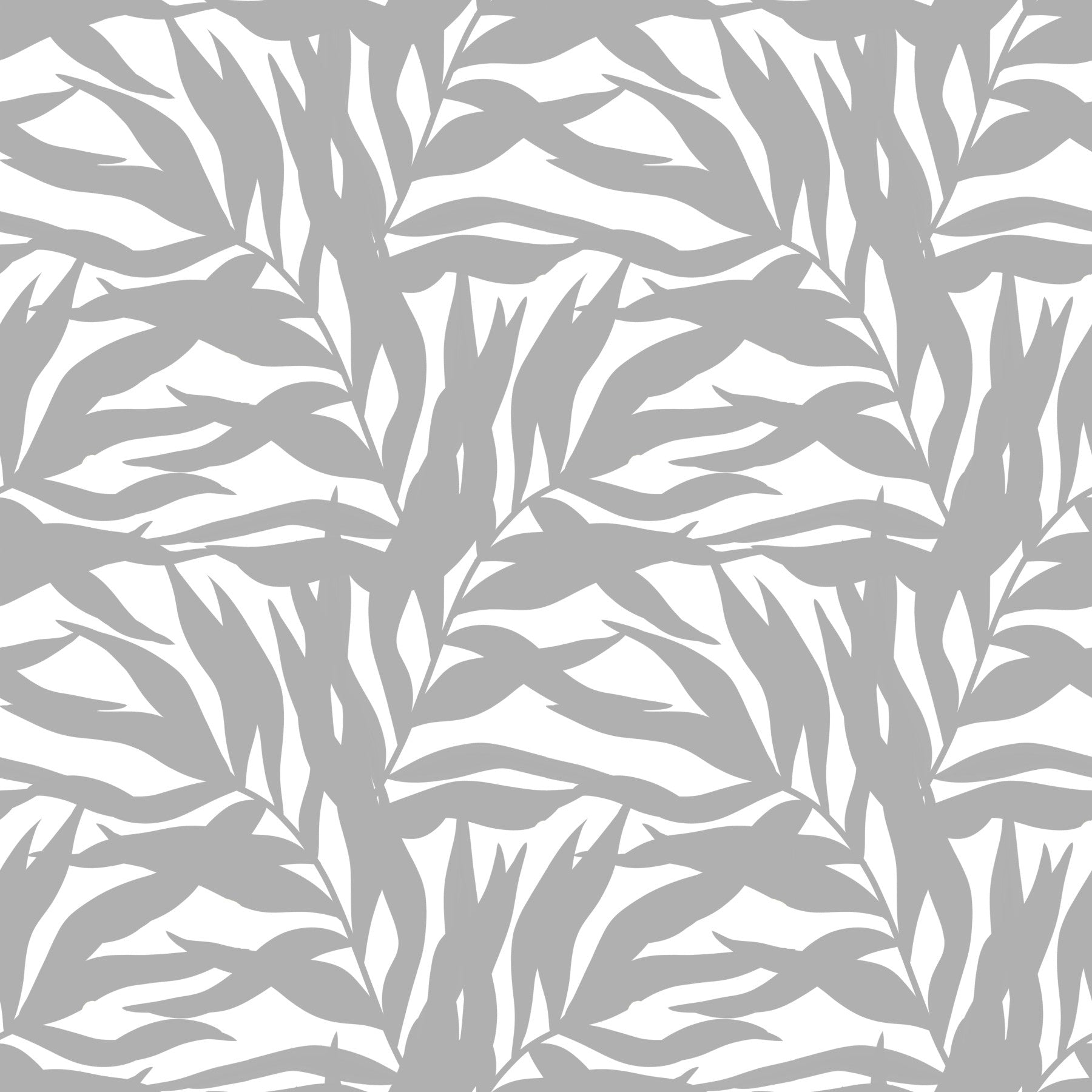 Grey leaves canopy on white botanical  Wallpaper⁠