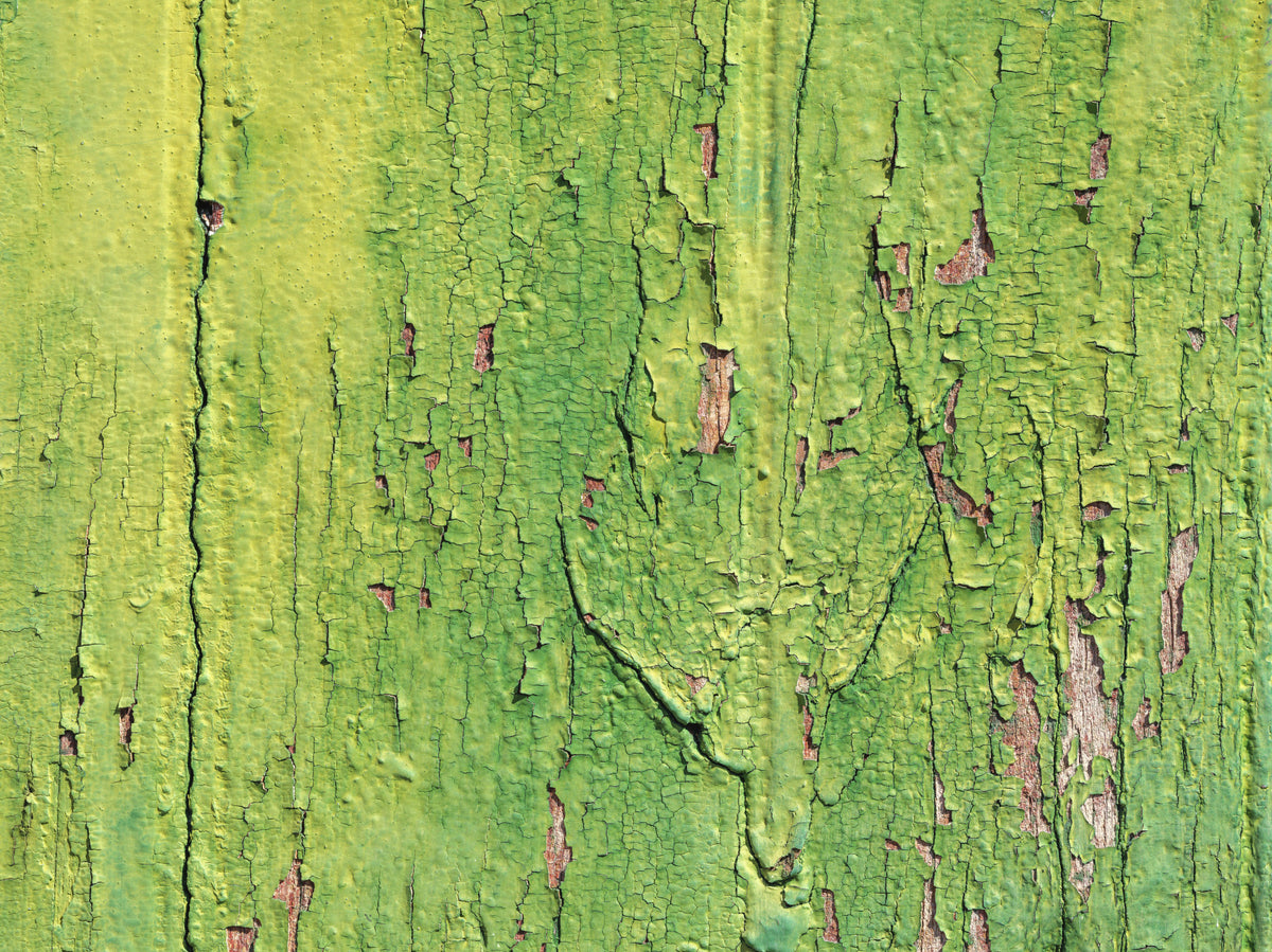 Weathered Green Wall Wall Mural in your room — zoomed