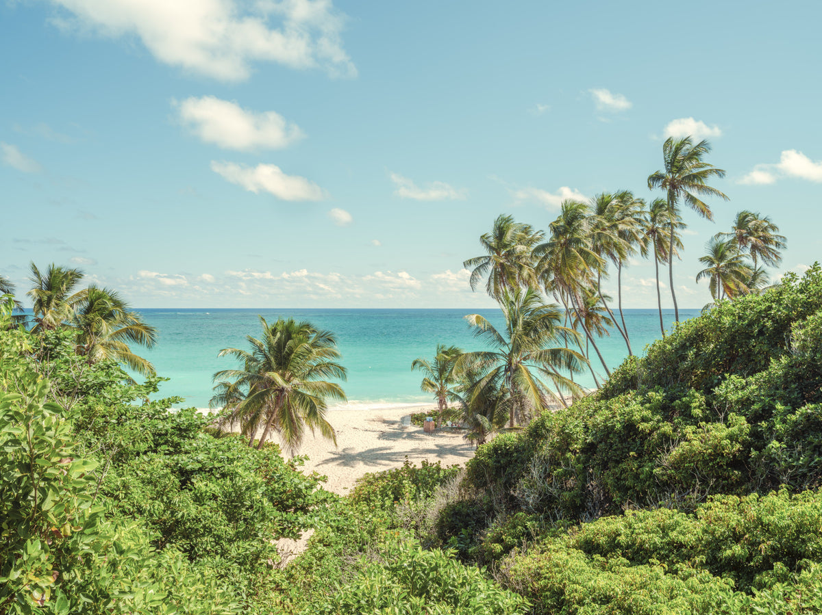 Serene Coastal Paradise Wall Mural in your room — zoomed