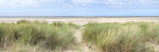 Grassland by the Sea Wall Mural