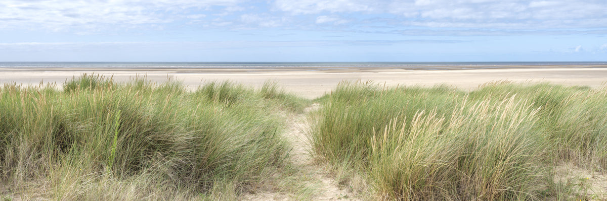 Grassland by the Sea Wall Mural