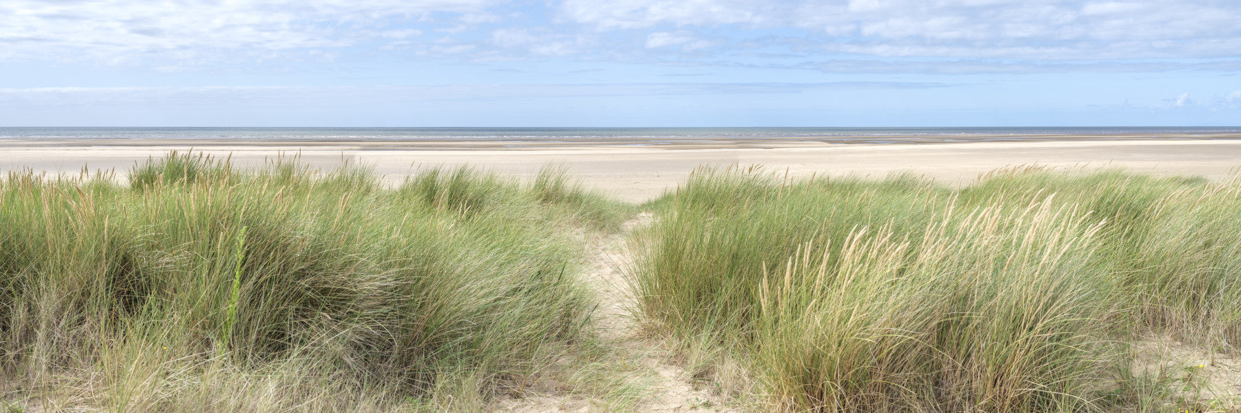 Grassland by the Sea Wall Mural