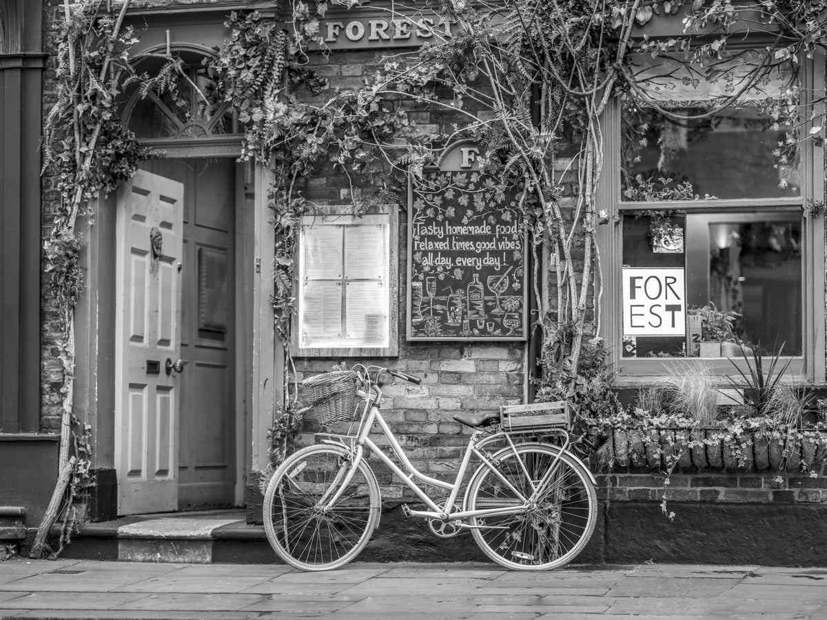 Bike at the Cafe Wall Mural in your room — zoomed