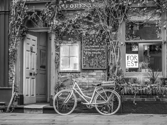 Bike at the Cafe Wall Mural