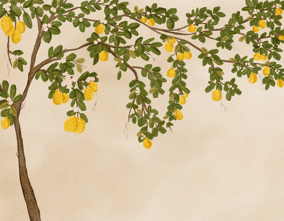 Lemon Grove Bloom Wall Mural in your room — zoomed