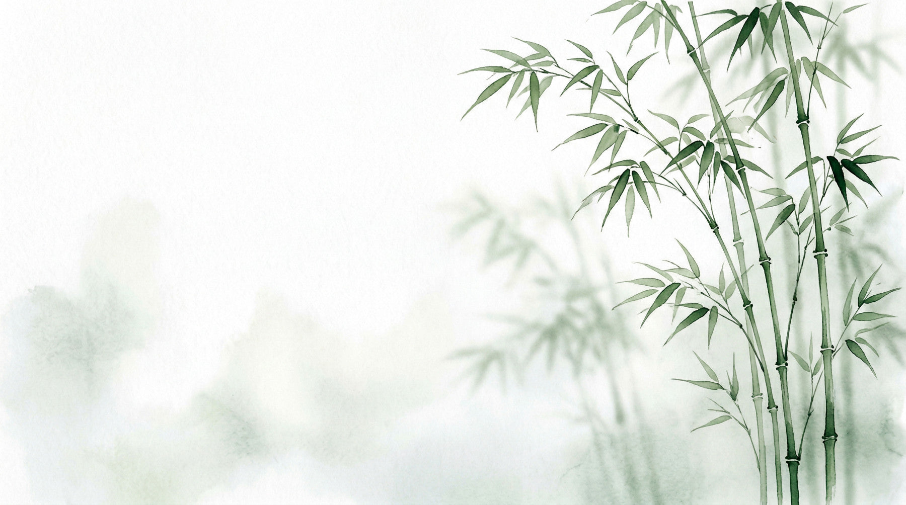 Serene Bamboo Murals Wall Mural