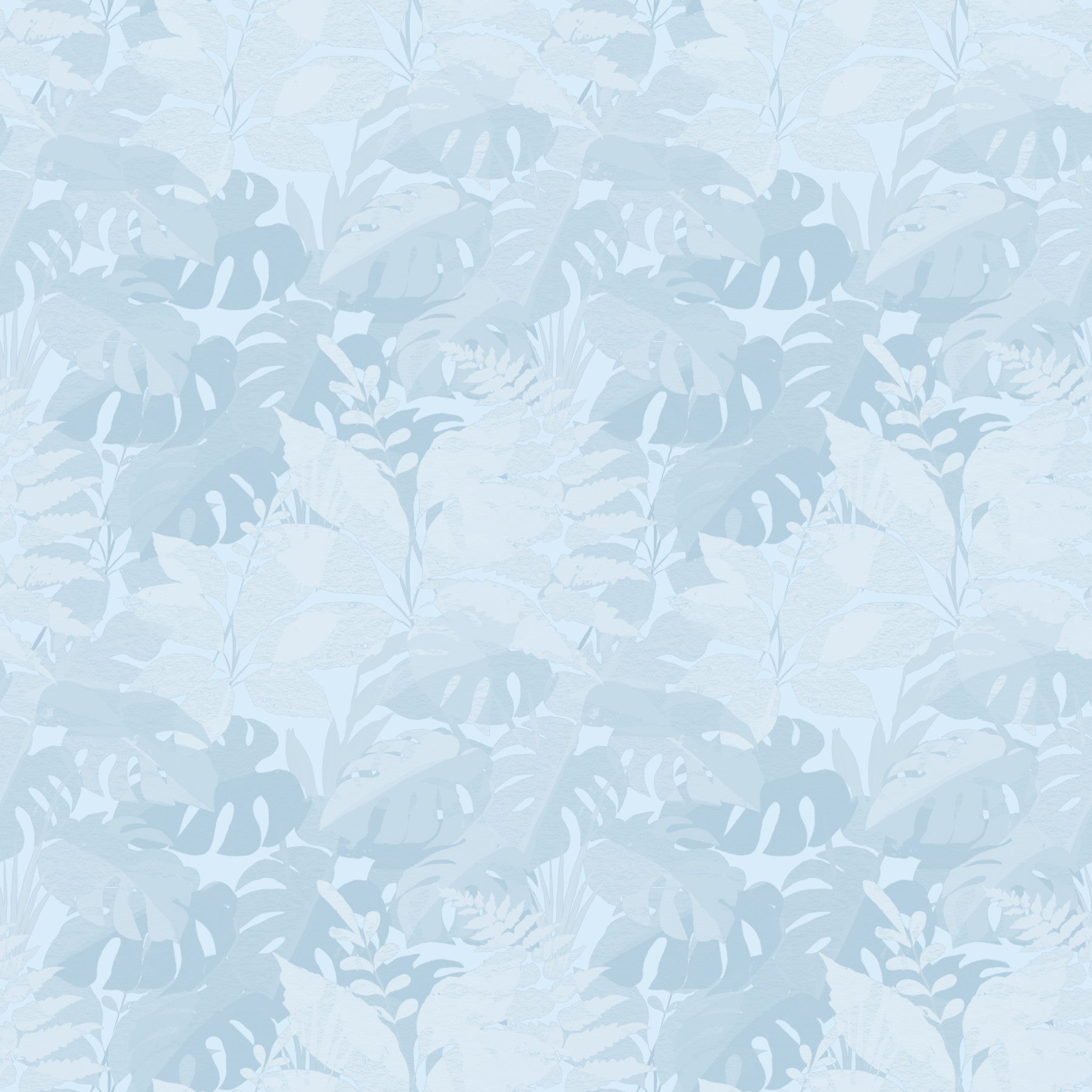 Misty Blue Leaf Layers Monstera  Wallpaper⁠