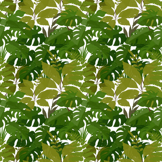 Lush Leaf Canopy Monstera Leaves Wallpaper⁠