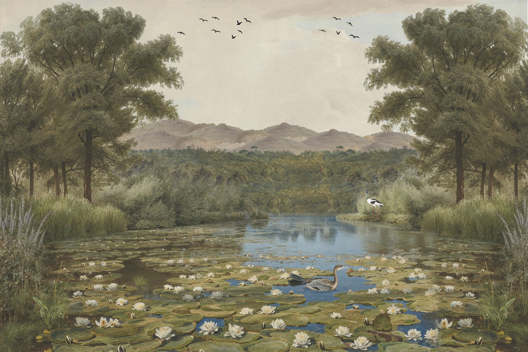 Lily Pond Serenity Wall Mural