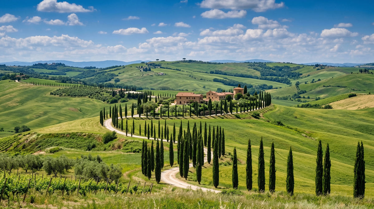 Tuscan Cypress Serenity Wall Mural in your room — zoomed