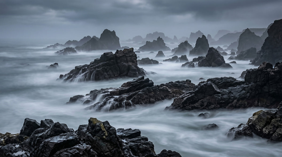 Grey Coast Mystique Wall Mural in your room — zoomed