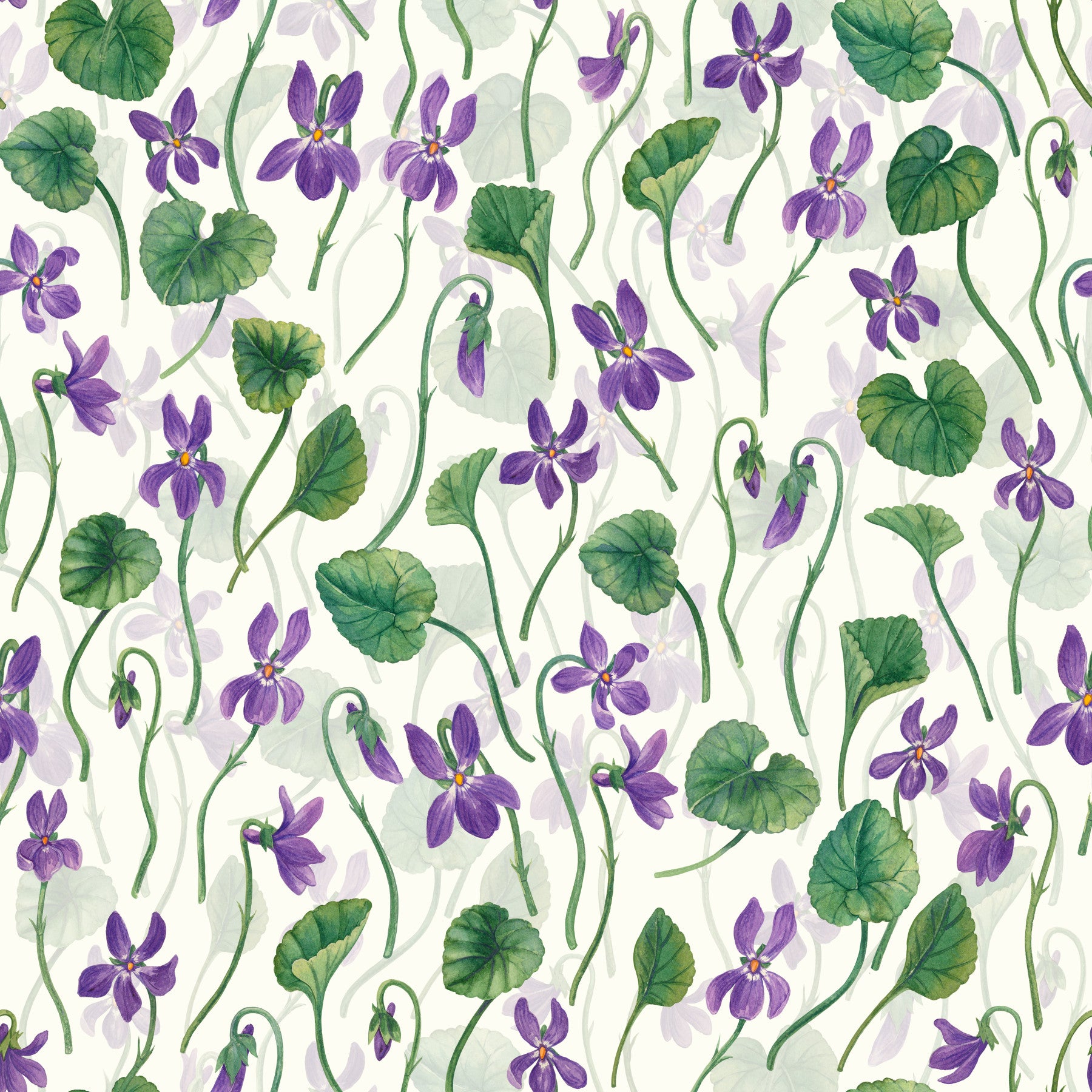Watercolor violets on off white Wallpaper⁠