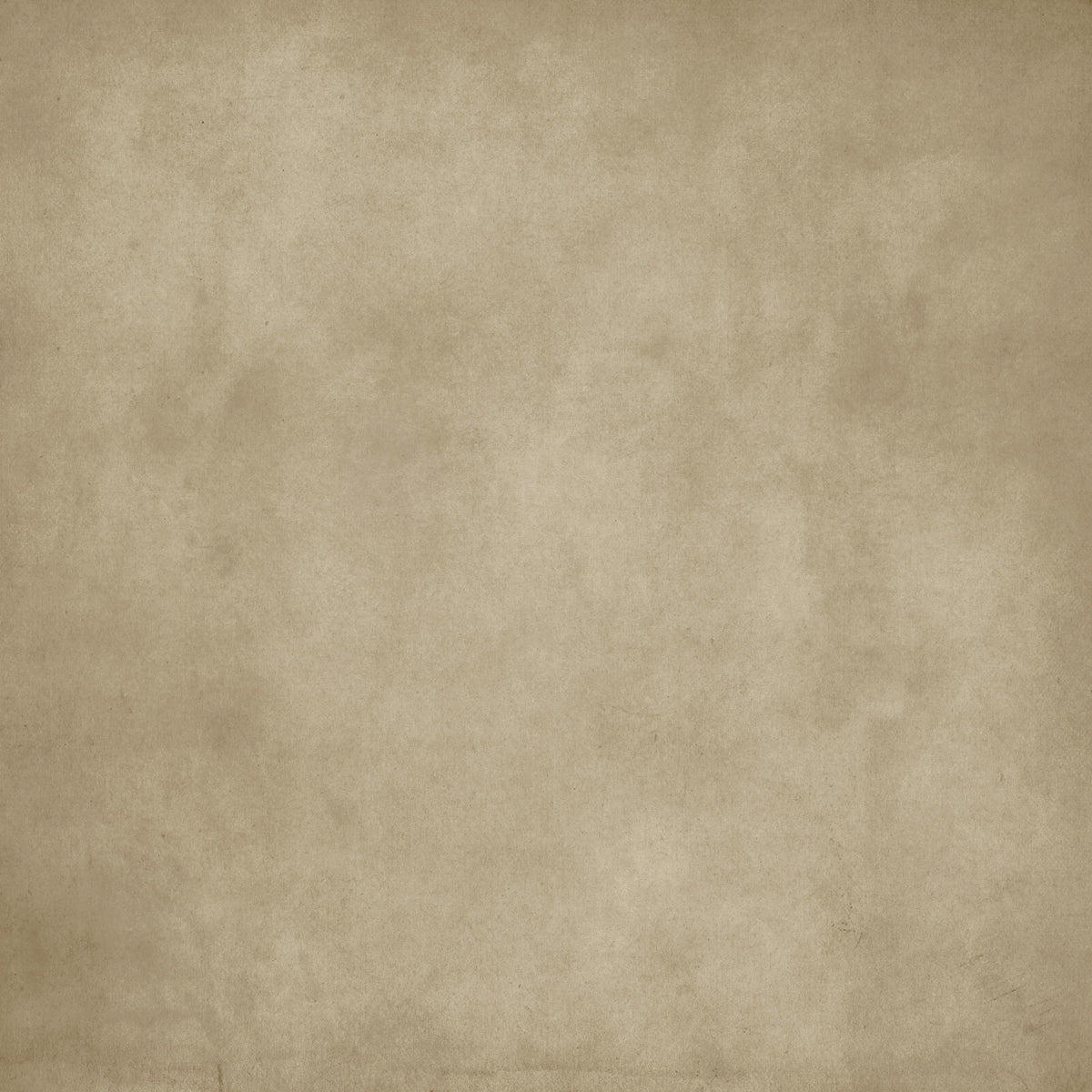 Dirty Paper - Chamois Wall Mural