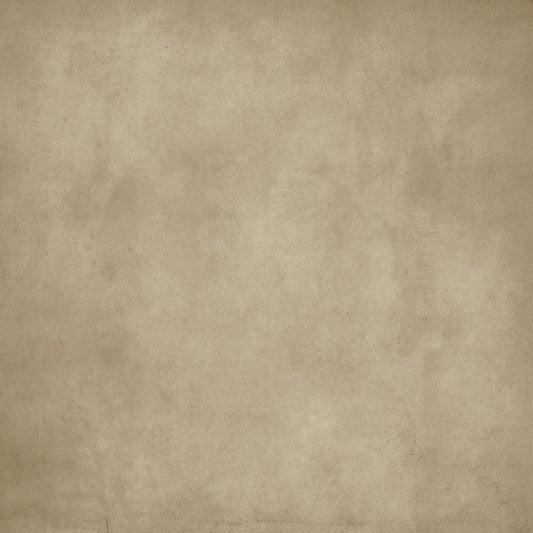 Dirty Paper - Chamois Wall Mural