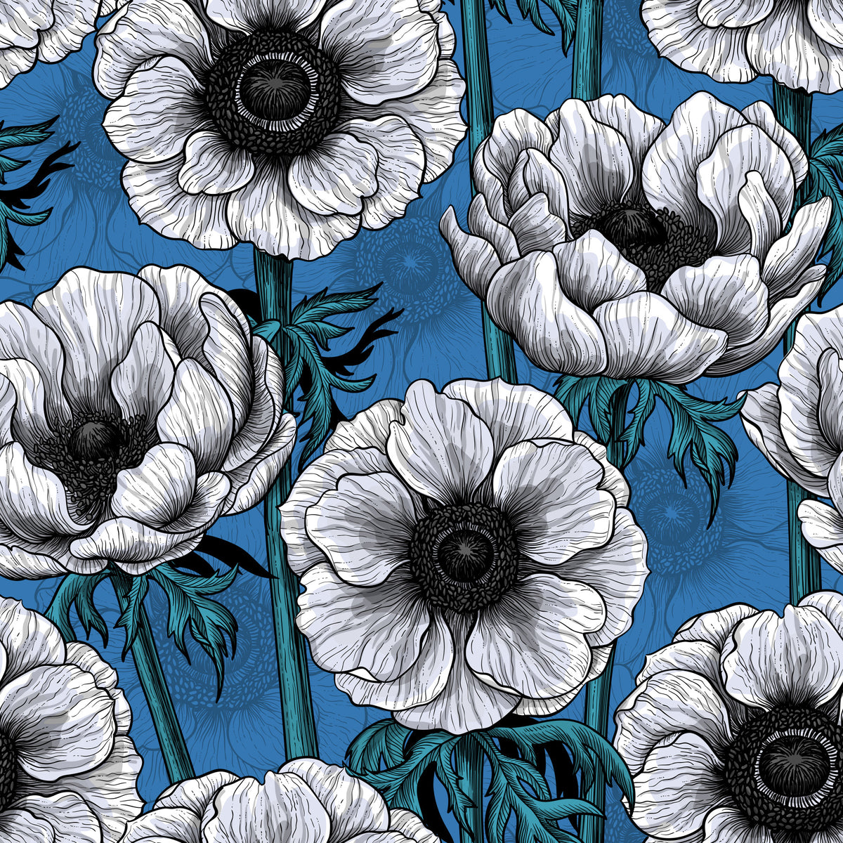 White anemone garden Wallpaper⁠