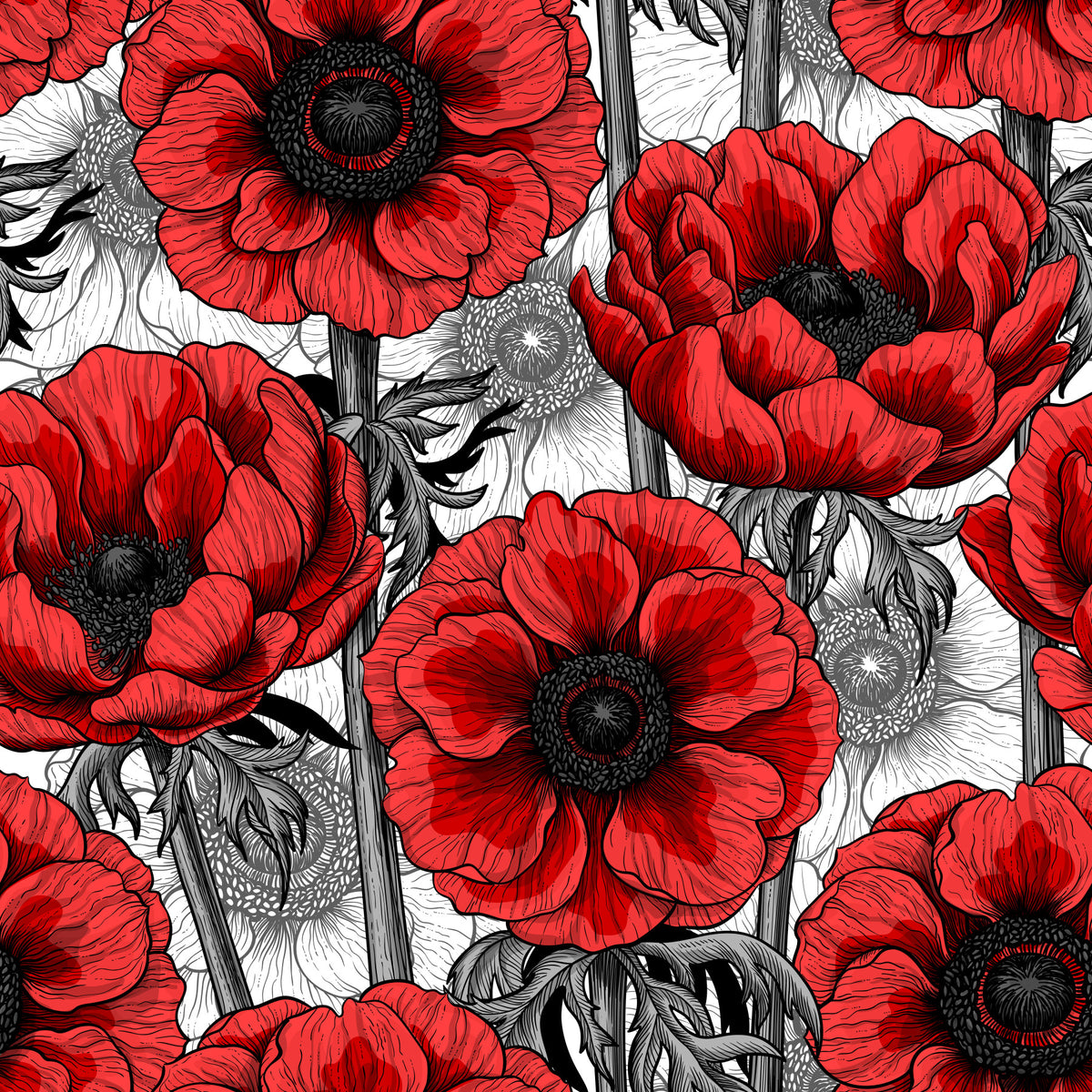 Red anemone garden on white Wallpaper⁠