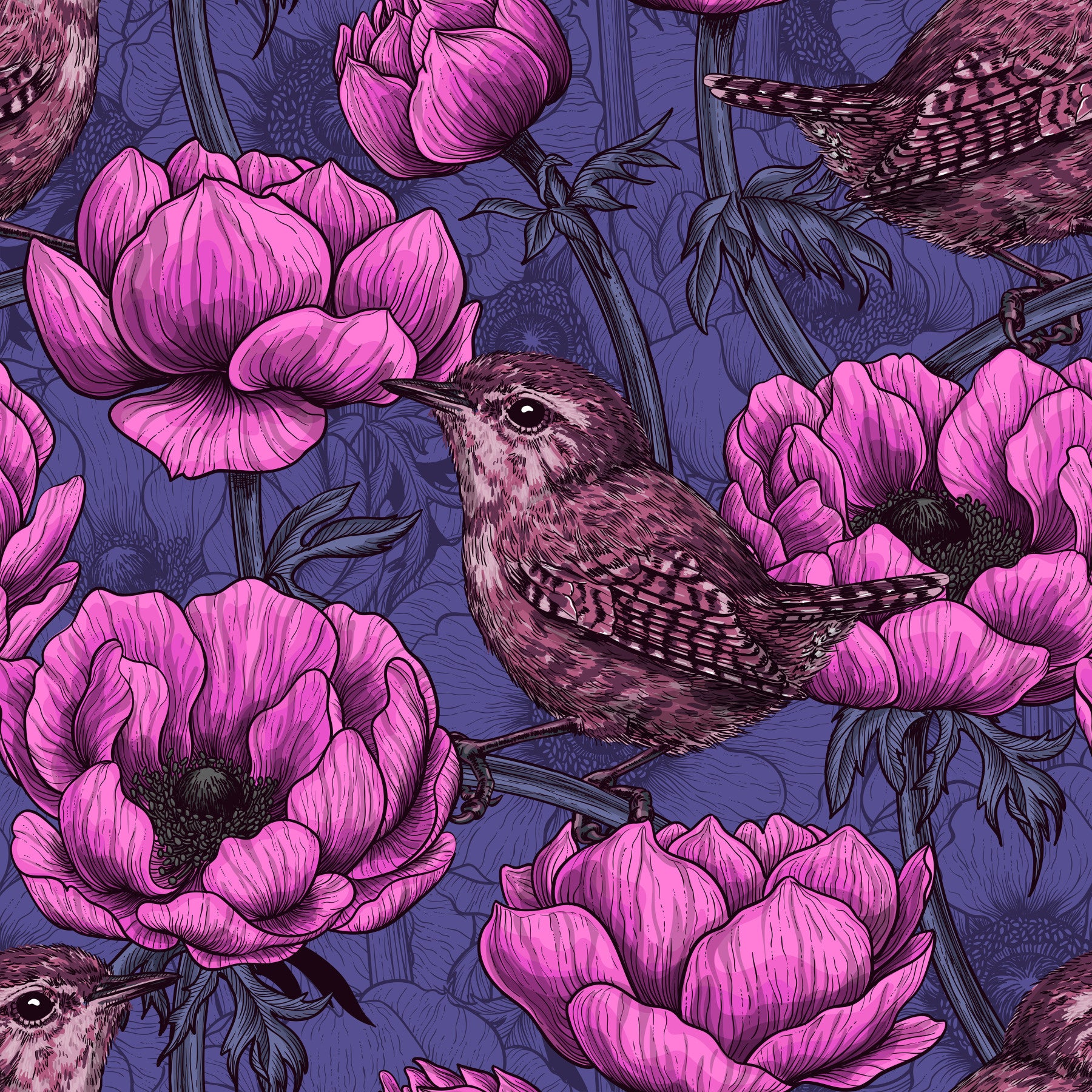 Wrens in the anemone garden Wallpaper⁠