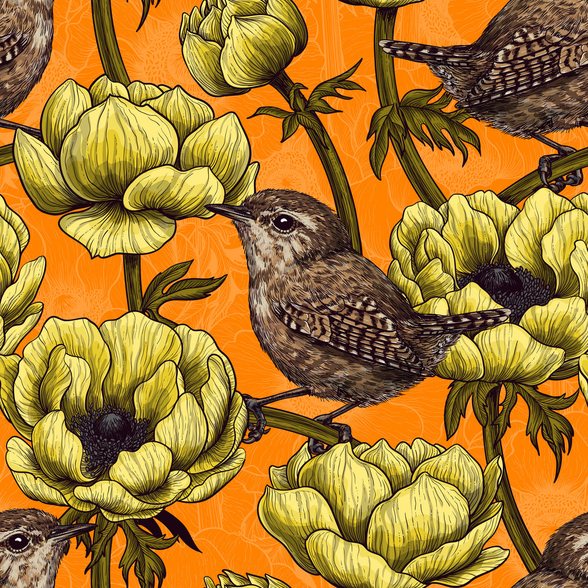 Wrens in the yellow anemone garden Wallpaper⁠