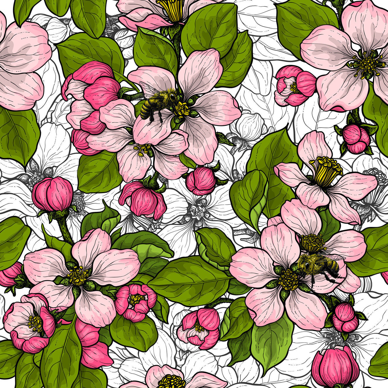 Apple blossom on white Wallpaper⁠