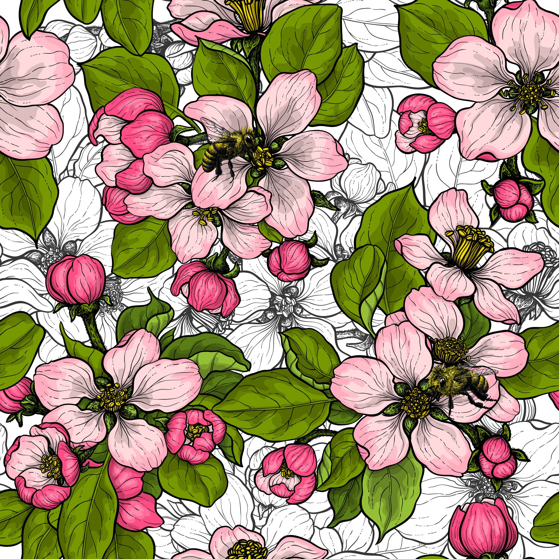 Apple blossom on white Wallpaper⁠