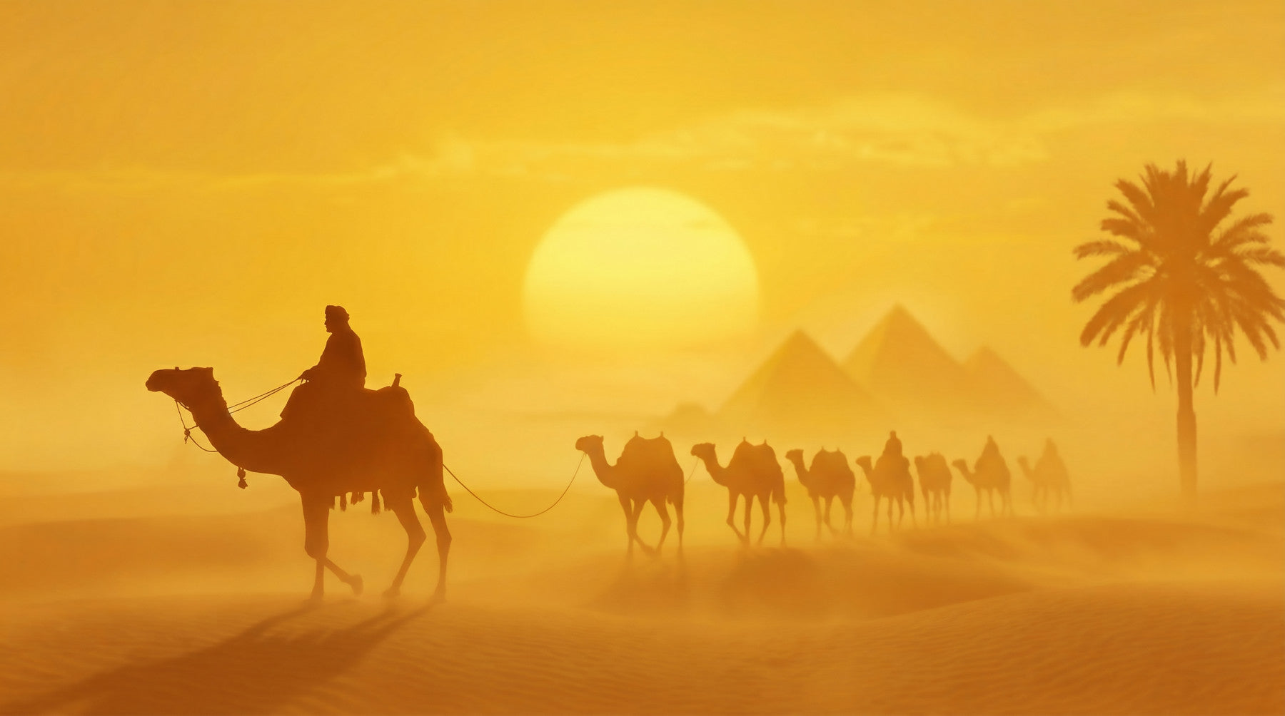 Sands of Time: Golden Desert Caravan Wall Mural