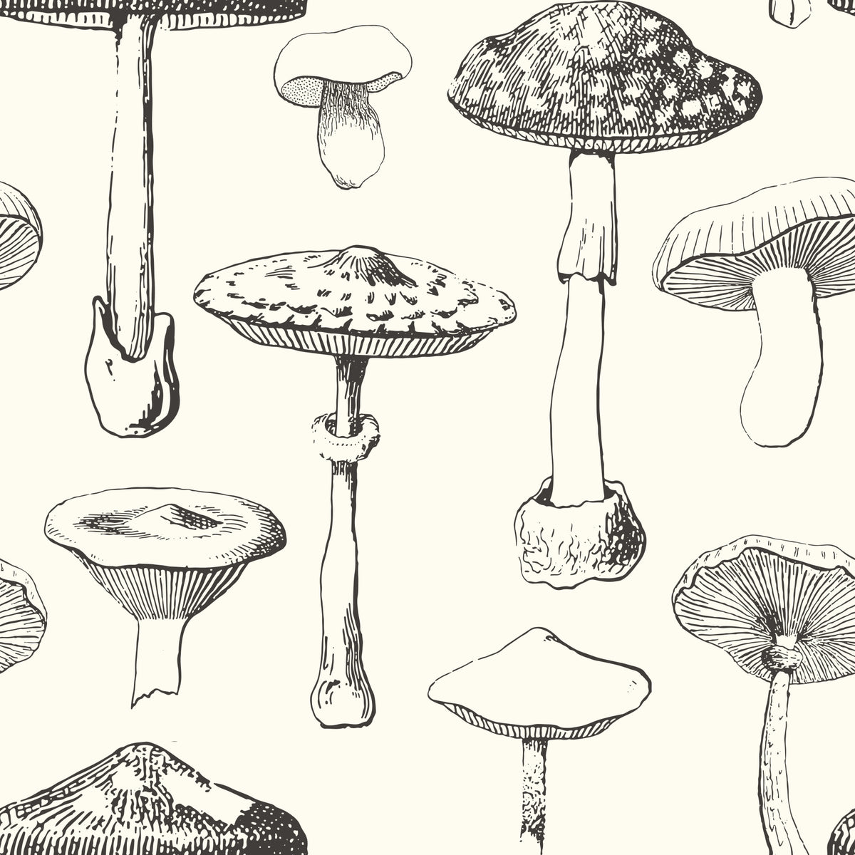 Forest Mushroom Sketch Wallpaper