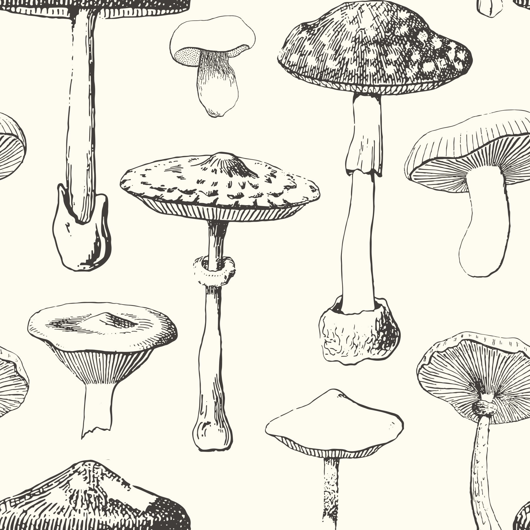 Forest Mushroom Sketch Wallpaper
