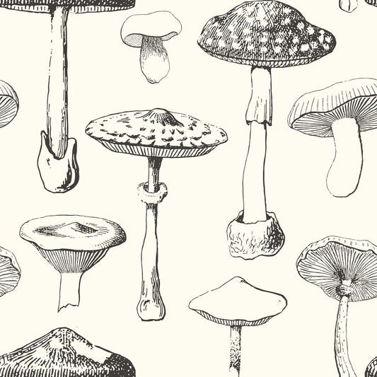 Forest Mushroom Sketch Wallpaper