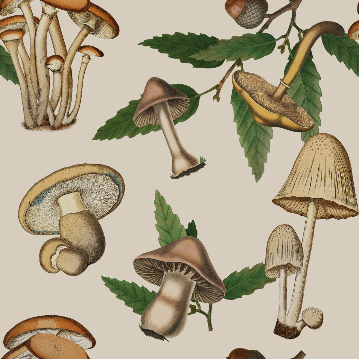Ancient Forest Mushrooms and Acorns Wallpaper