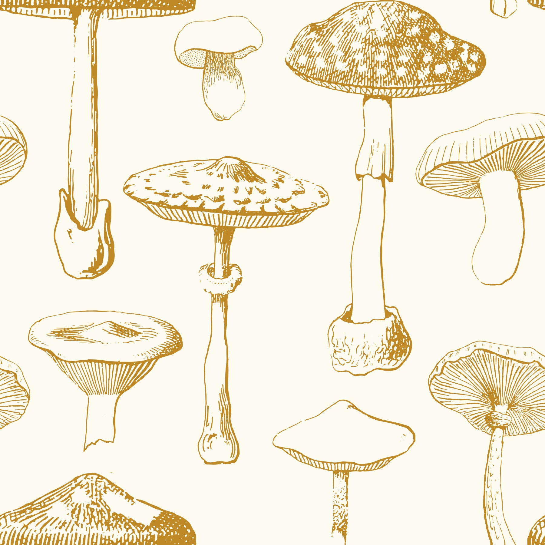 Golden Mushroom Sketchbook Wallpaper