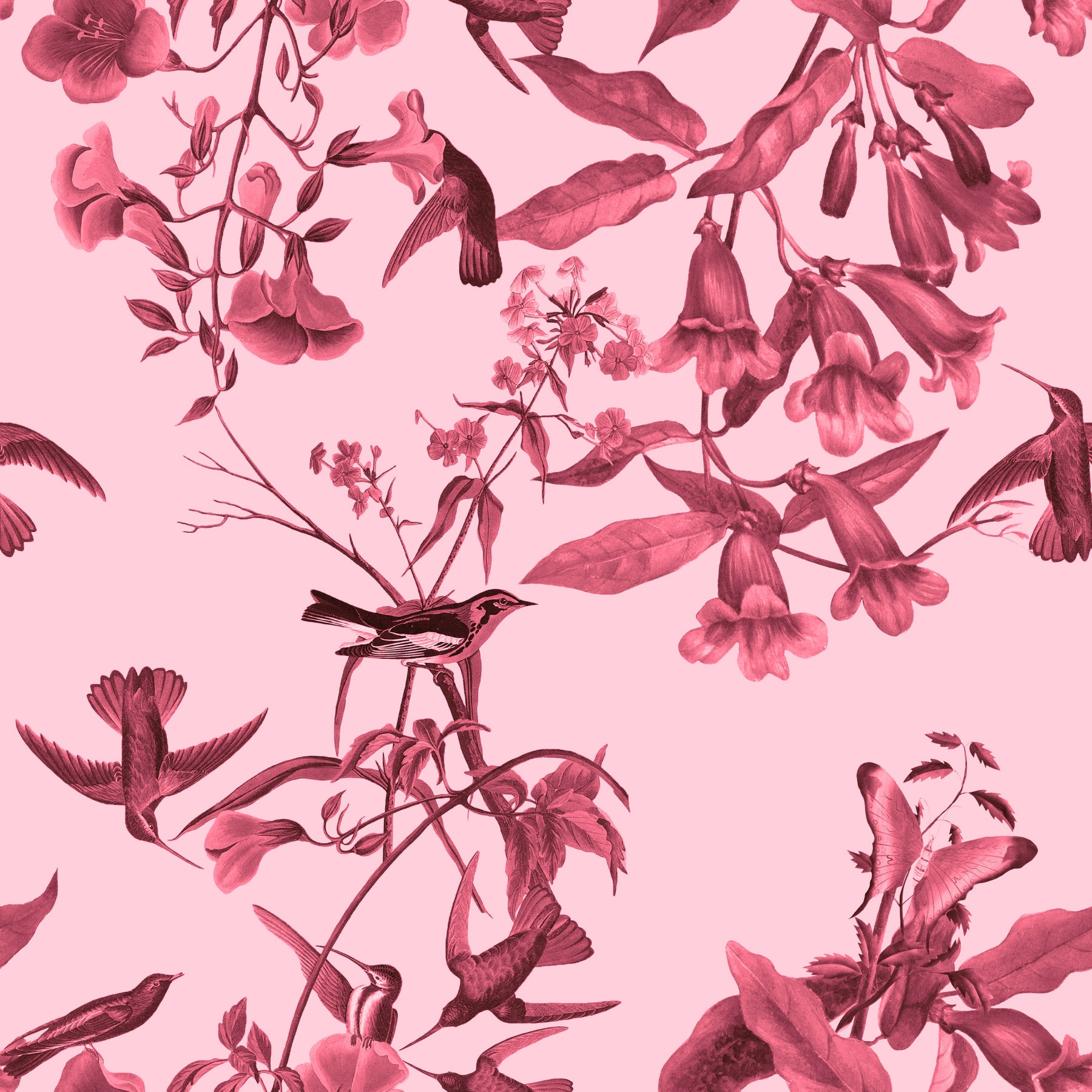 Magenta Botanical Flight Wallpaper