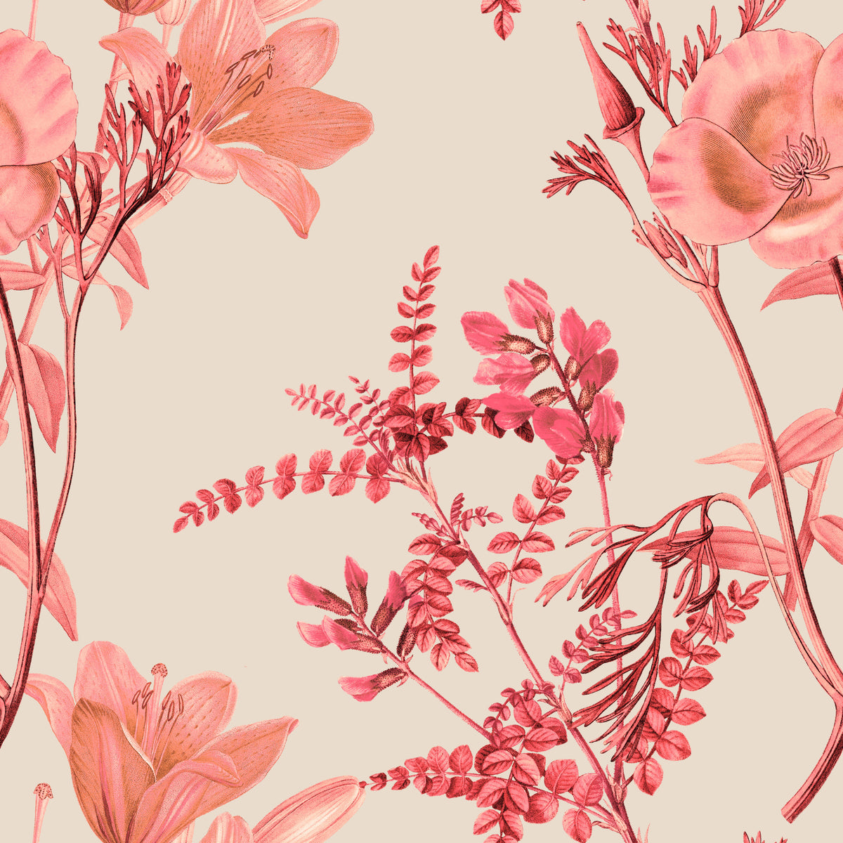 Botanical Coral Bloom Wallpaper in your room — zoomed