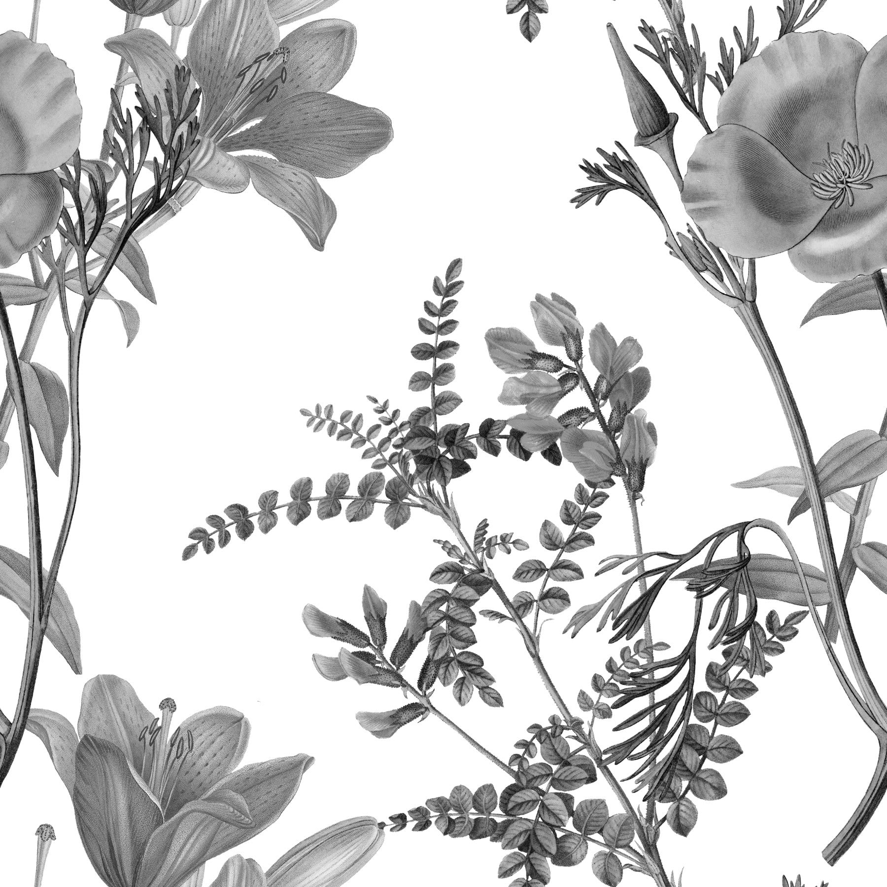 Monochromatic Botanical Print Wallpaper