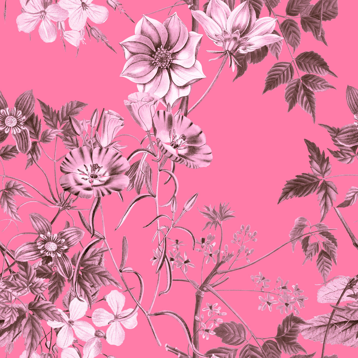 Fuchsia Floral Prints Wallpaper