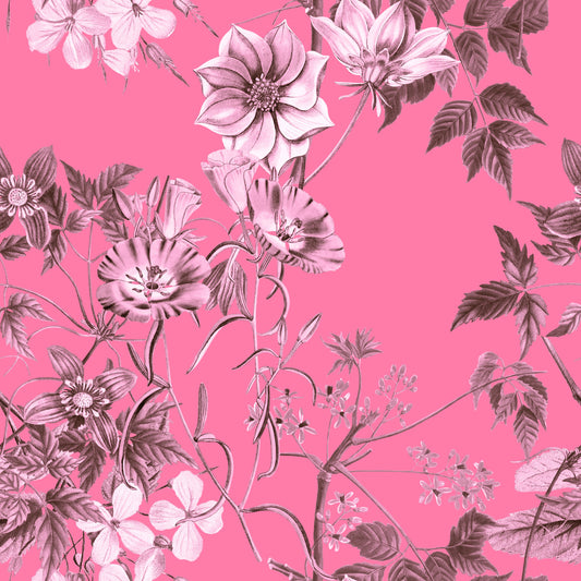 Fuchsia Floral Prints Wallpaper
