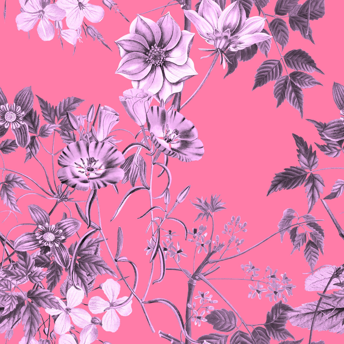 Fuchsia Garden Prints Wallpaper