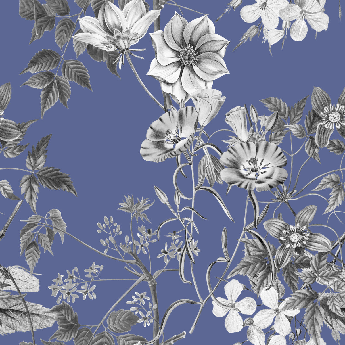 Botanical sketch of the vinca wallpaper in your room — zoomed