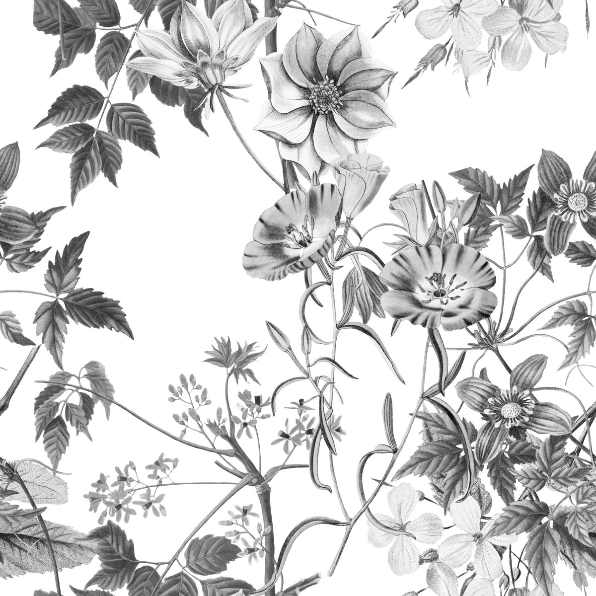 Monochromatic Botanical Prints Wallpaper in your room — zoomed