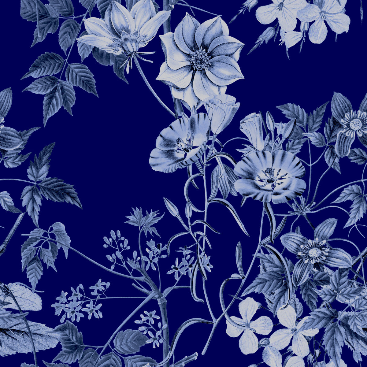 Grabados Flor de Medianoche Wallpaper⁠
