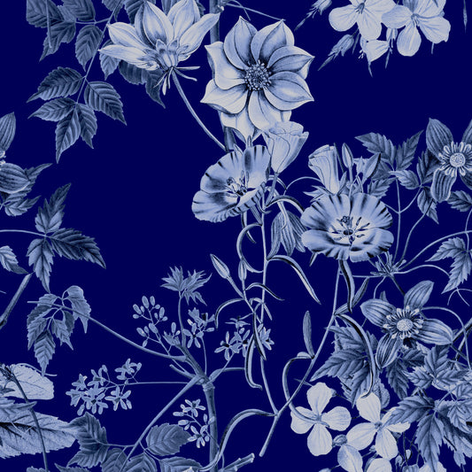 Grabados Flor de Medianoche Wallpaper⁠